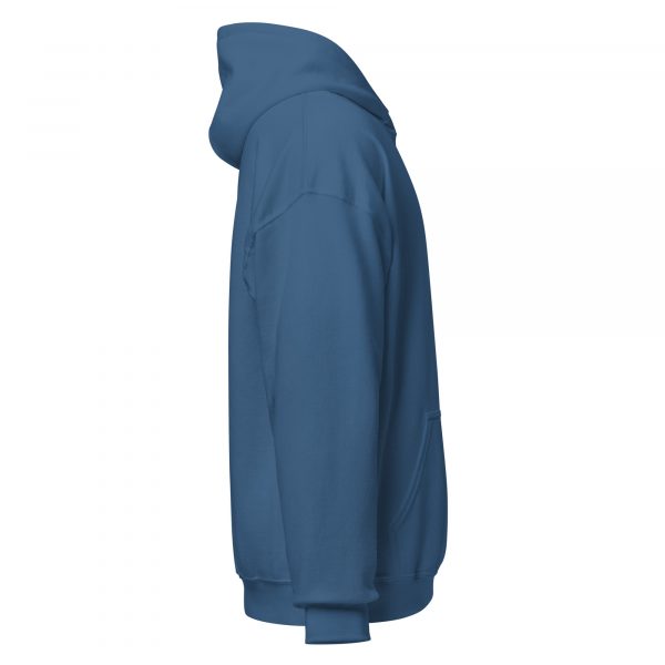 DW Unisex Hoodie - Image 12